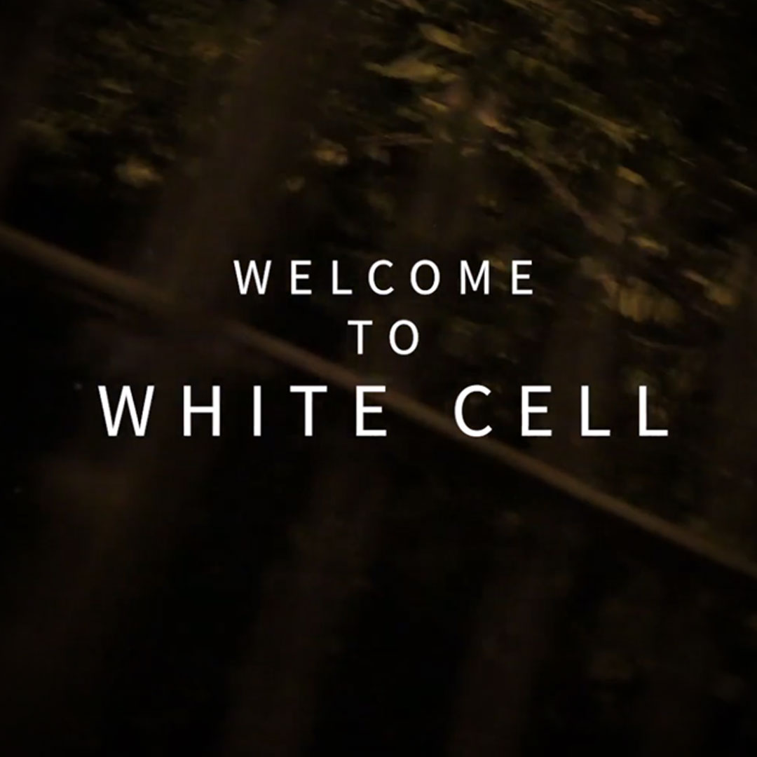 White Cell